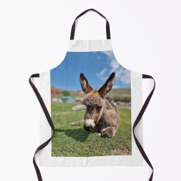 Item preview, A donkey in Kyrgisztan designed and sold by MaltaDrey.