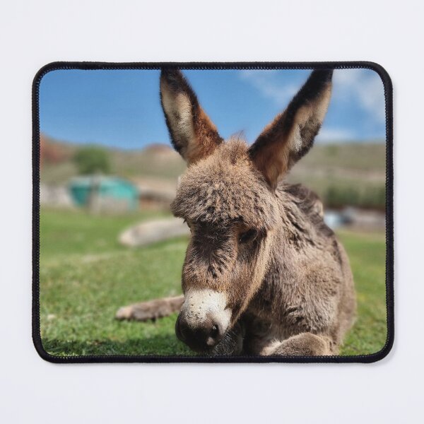 Item preview, A donkey in Kyrgisztan designed and sold by MaltaDrey.