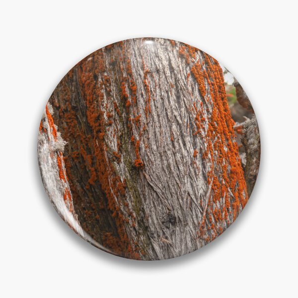 Item preview, Trees and Moss designed and sold by jvnimages.