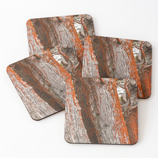 Item preview, Trees and Moss designed and sold by jvnimages.