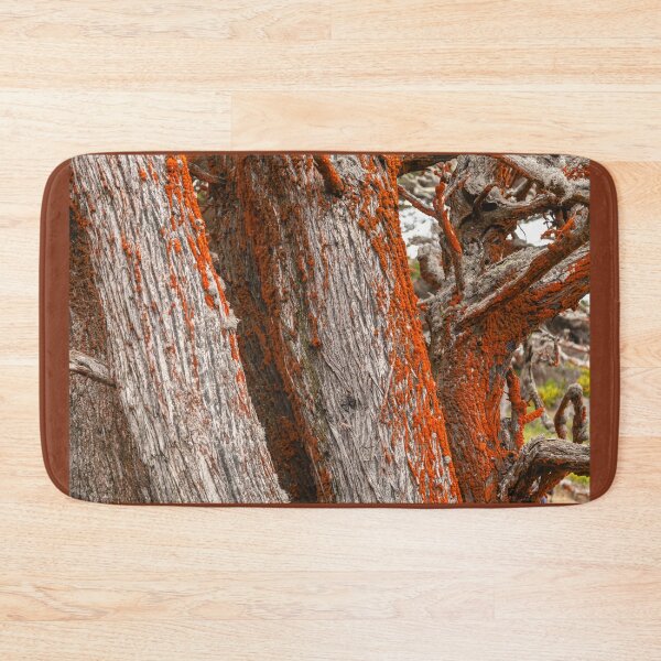 Item preview, Trees and Moss designed and sold by jvnimages.