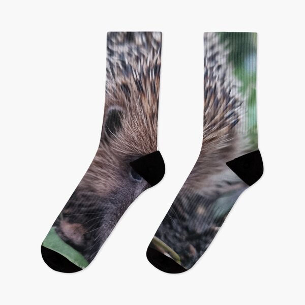 Item preview, Just a hedgehog posing designed and sold by MaltaDrey.