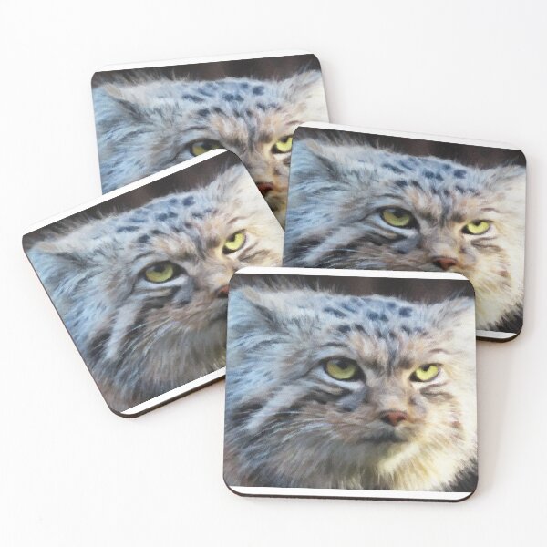Item preview, A Pallas's cat (manul) designed and sold by Tiia Vissak.