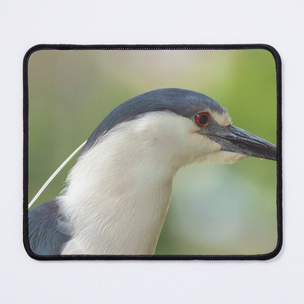 Item preview, Heron Portrait designed and sold by jvnimages.