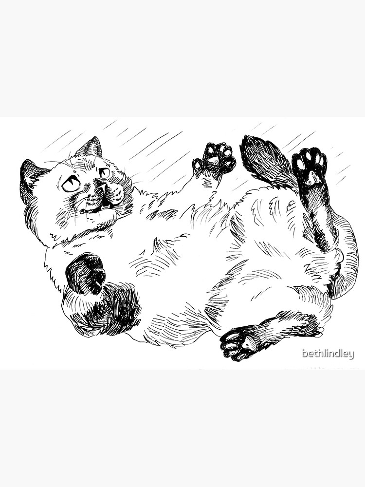 Falling cat inktober ink drawing by bethlindley