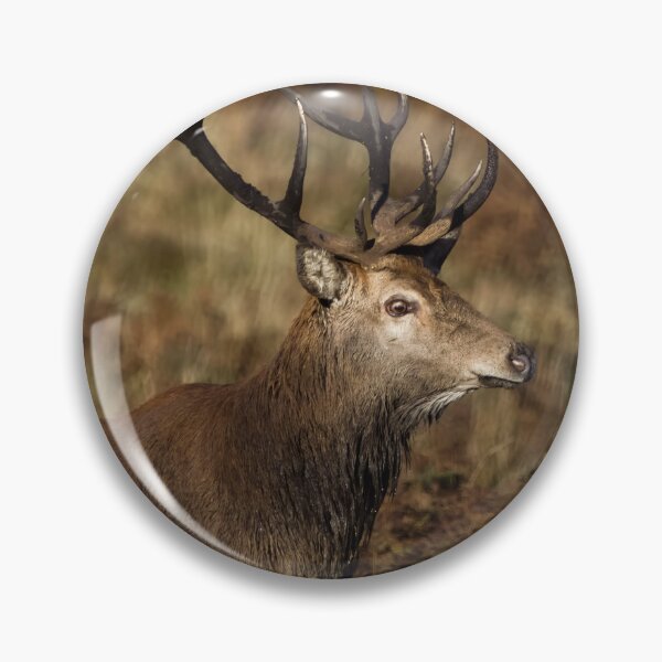 Item preview, Royal Stag on Exmoor designed and sold by Claire Hawken.