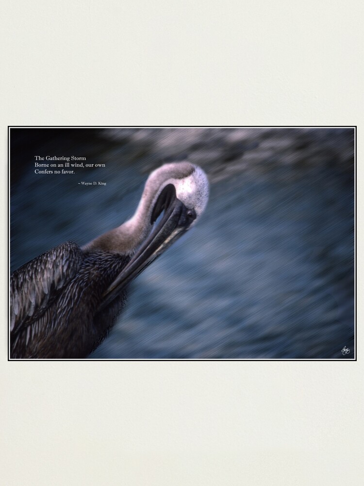 Alternate view of The Gathering Storm Haiku Photographic Print