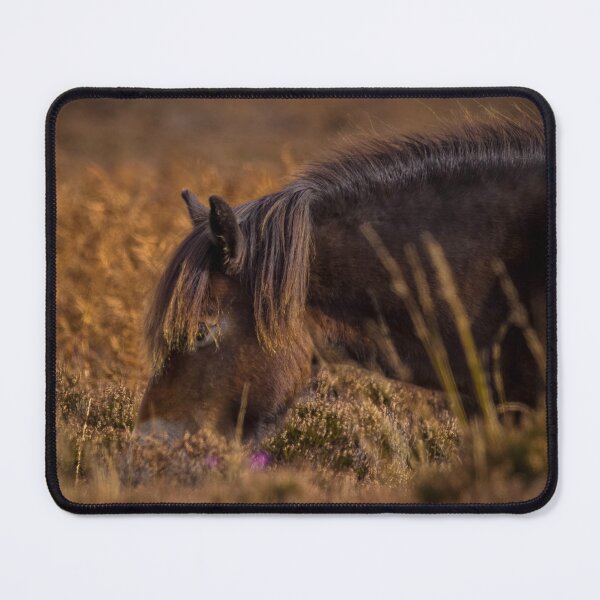 Artikelvorschau, Exmoor-Pony entworfen und verkauft von Claire Hawken.