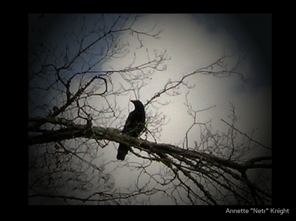 Night crows аутентификация