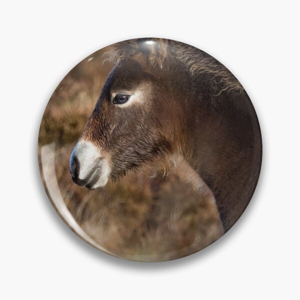 Item preview, Exmoor pony foal designed and sold by Claire Hawken.