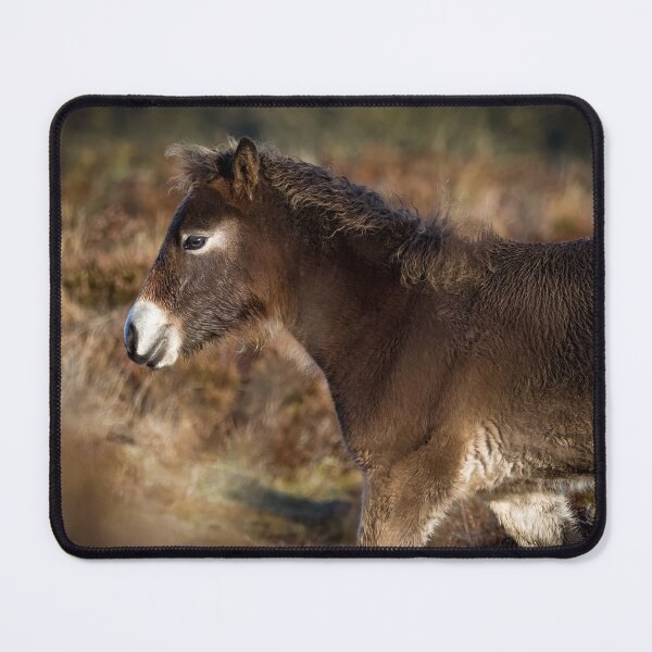 Item preview, Exmoor pony foal designed and sold by Claire Hawken.