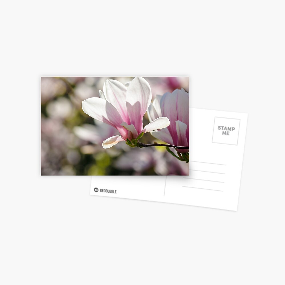 Item preview, Postcard designed and sold by mike-pellinni.