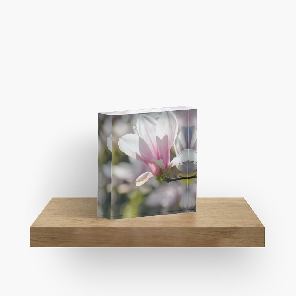 Item preview, Acrylic Block designed and sold by mike-pellinni.