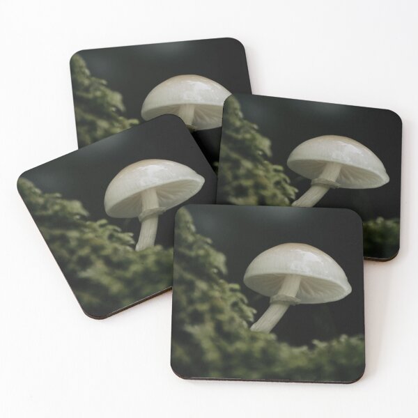 Item preview, Hongo en el bosque designed and sold by Claire Hawken.