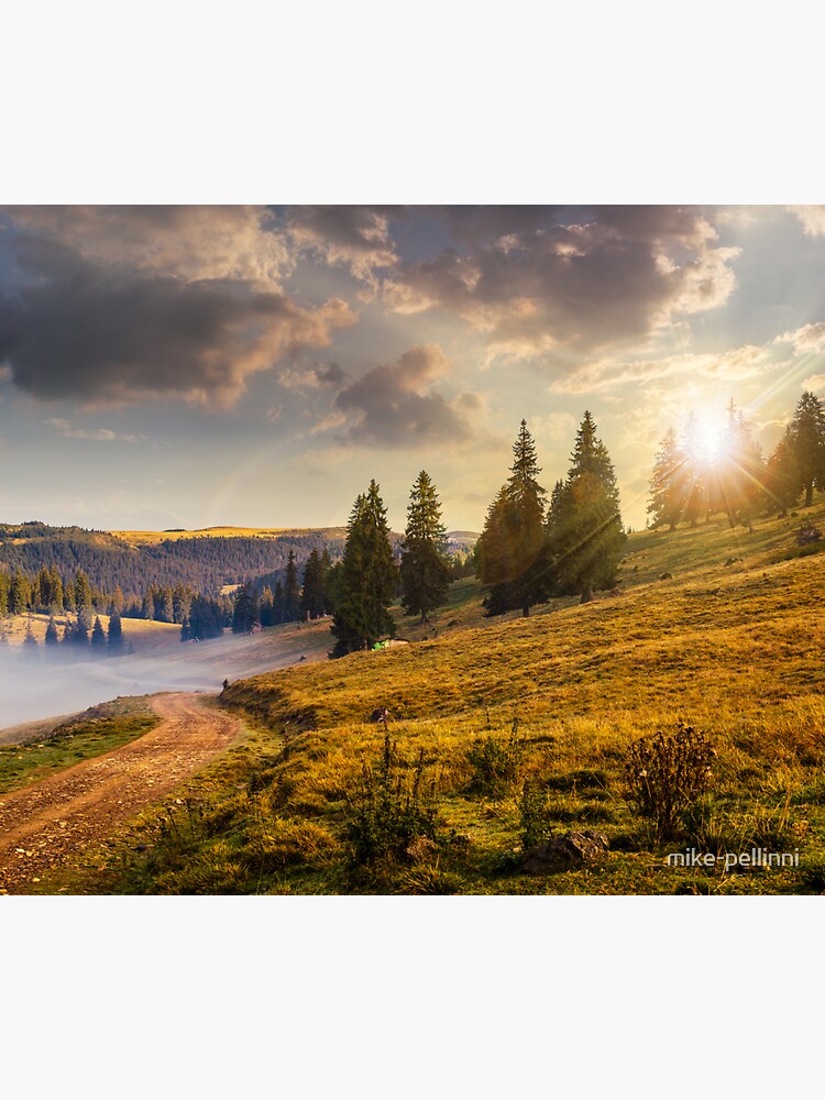 hillside meadow with forest in mountain at sunset by mike-pellinni