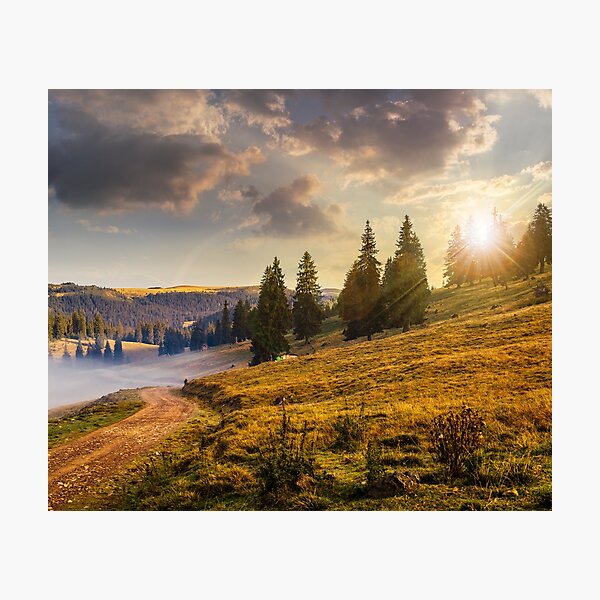 hillside meadow with forest in mountain at sunset Photographic Print