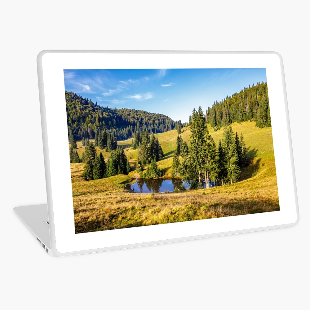 Item preview, Laptop Skin designed and sold by mike-pellinni.