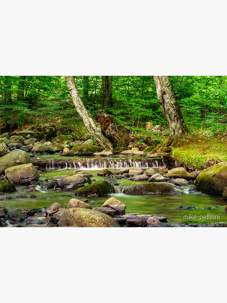 cascade on the little stream with stones in forest by mike-pellinni