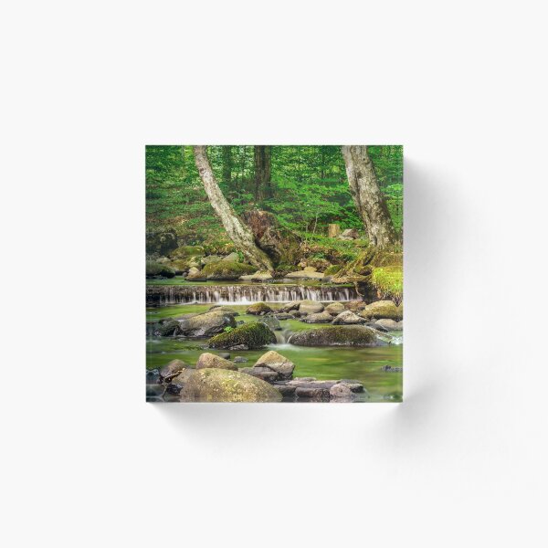 cascade on the little stream with stones in forest Acrylic Block