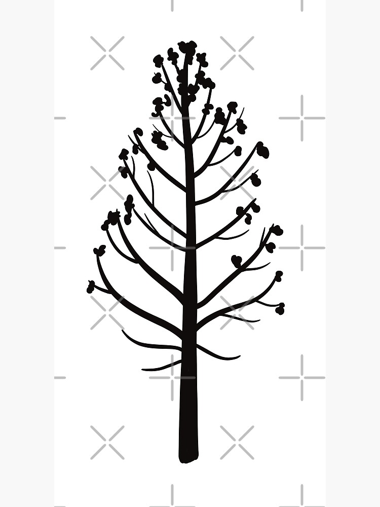 Vector set of aspen tree isolated on white... - Stock Illustration  [89938753] - PIXTA