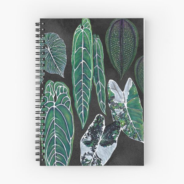 Artikelvorschau, heilige Flora. handgezeichnete Blätter, schwarzer Hintergrund, Arioden, Athurium, Mystik entworfen und verkauft von Soulape.