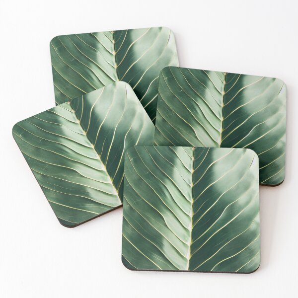 Item preview, Monstera Leaf Closup designed and sold by njiiz.