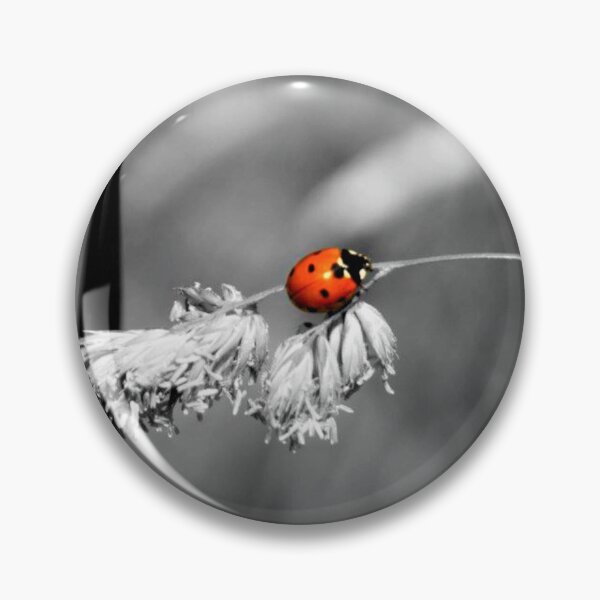 Item preview, ladybird selective colour designed and sold by Francespoppy.