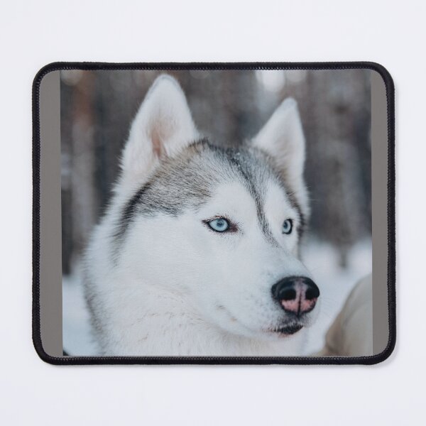 Item preview, dog husky designed and sold by e-Shop67.