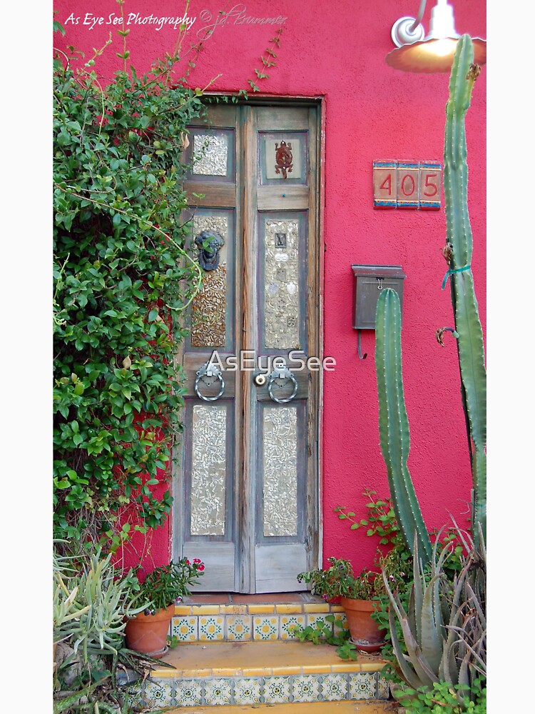 Not Just Any Door by AsEyeSee