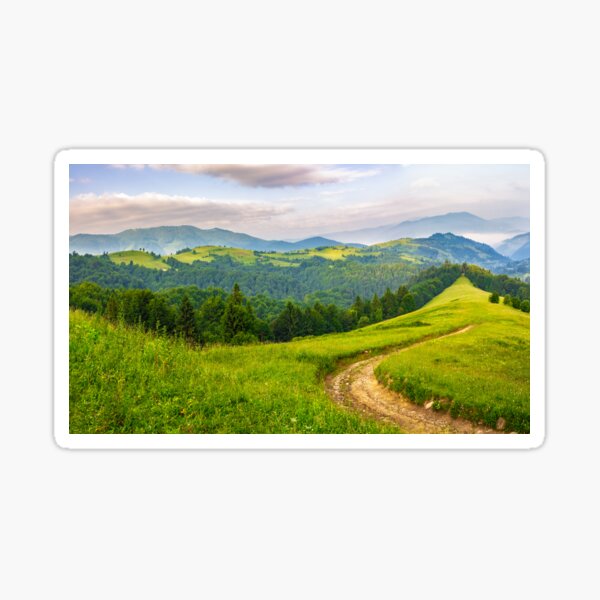road through conifer forest in mountains at sunrise Sticker