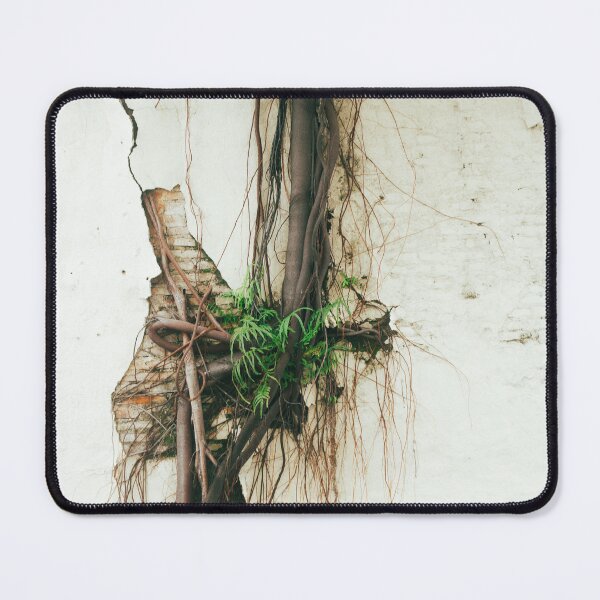 Item preview, Climbing tree on a whitewashed wall designed and sold by Sansaranna.