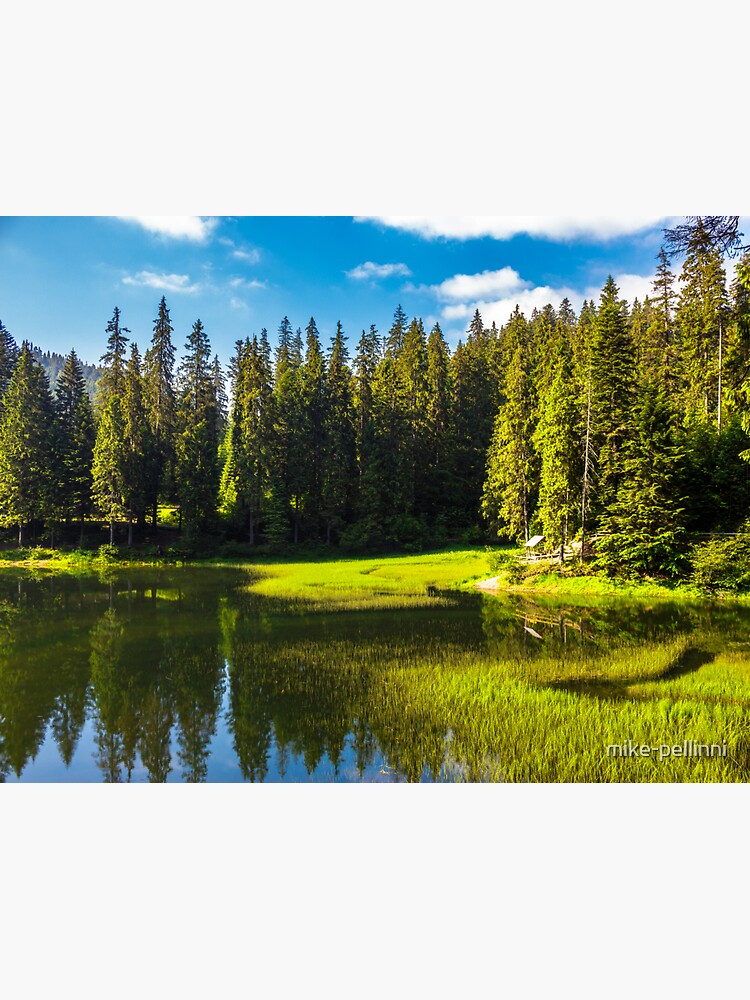 lake among the conifer forest by mike-pellinni