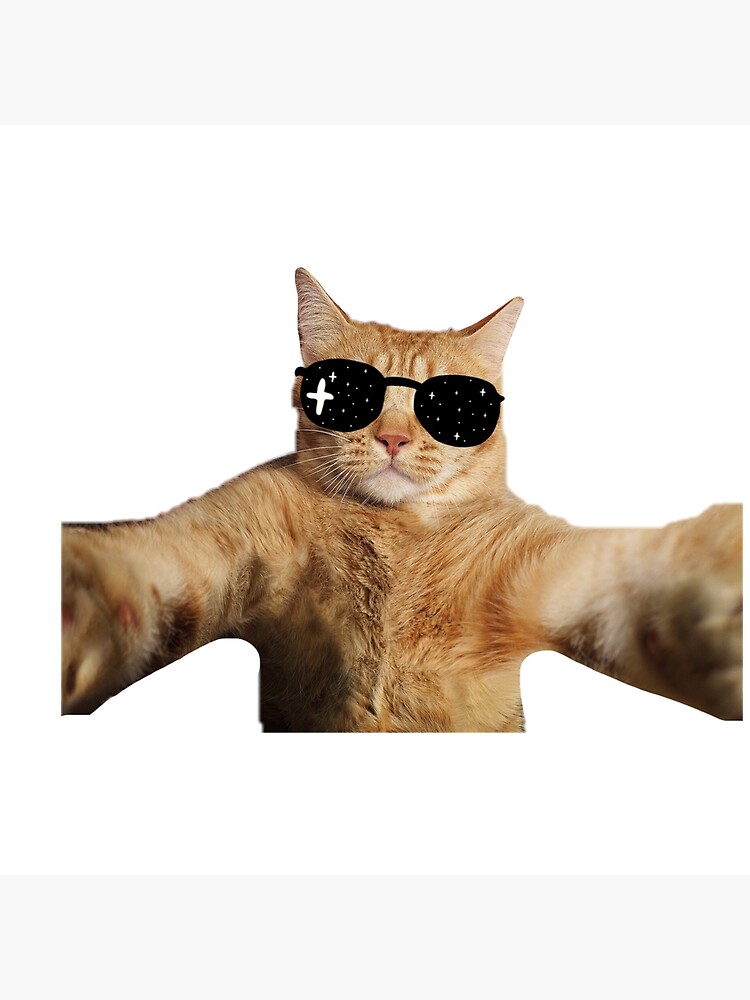 Impression artistique for Sale avec l'œuvre « Chat drôle avec des