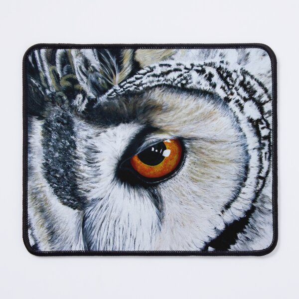 Item preview, Spotted Eagle Owl. Original Acrylic Painting by Jane Green. designed and sold by janesg.