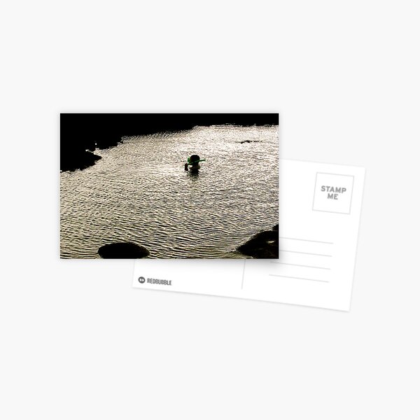 Snorkle UP Postcard