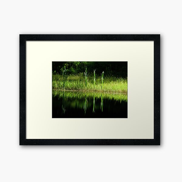 The Reflecting Pool Framed Art Print