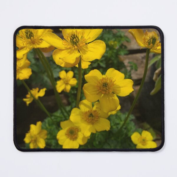 Item preview, Marsh Marigold designed and sold by Floral-Art.