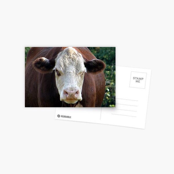 "You Got Somethin' To Say?" Postcard