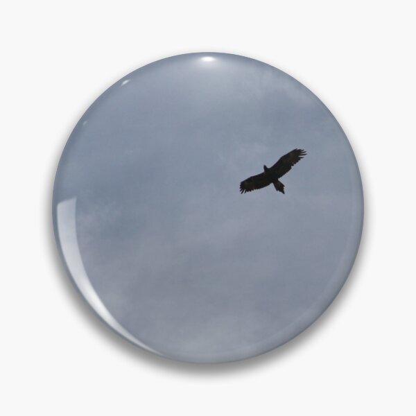 Item preview, Wedgetail Eagle Soaring designed and sold by trooprock.