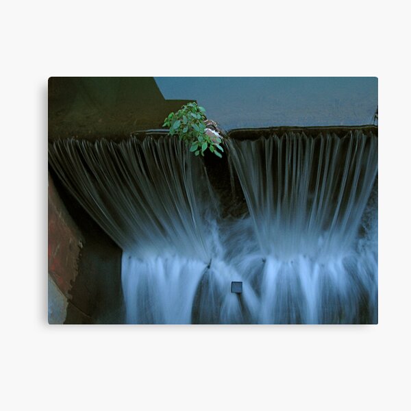 Green Island Canvas Print