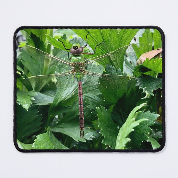 Item preview, Little Green Dragonfly designed and sold by Mseabro98.