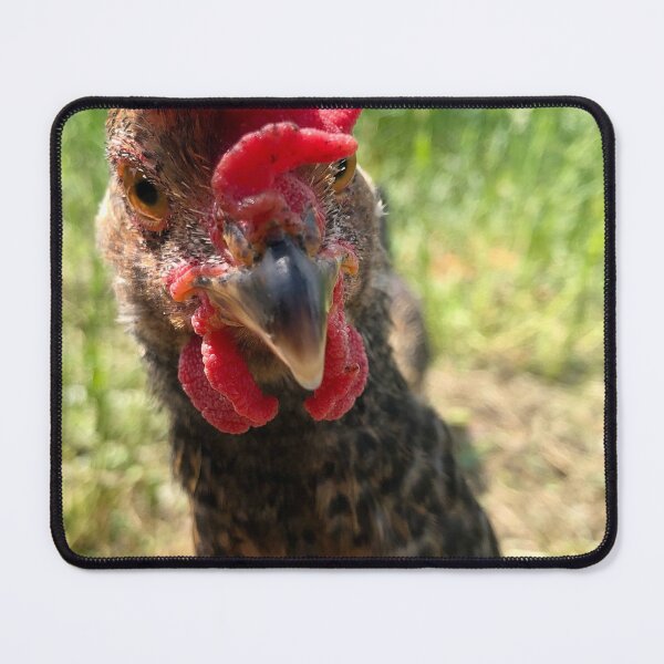Item preview, Judgemental Rooster designed and sold by Mseabro98.
