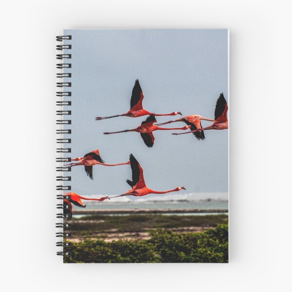 Item preview, Flamingo Formation designed and sold by dcdigital.