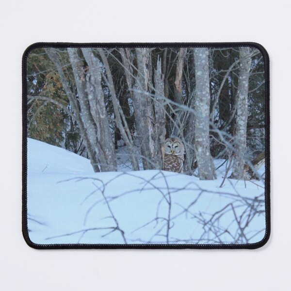 Item preview, Northern Ontario Owl designed and sold by Mseabro98.