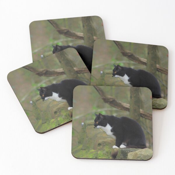 Item preview,  black and white fluffy cat designed and sold by Francespoppy.