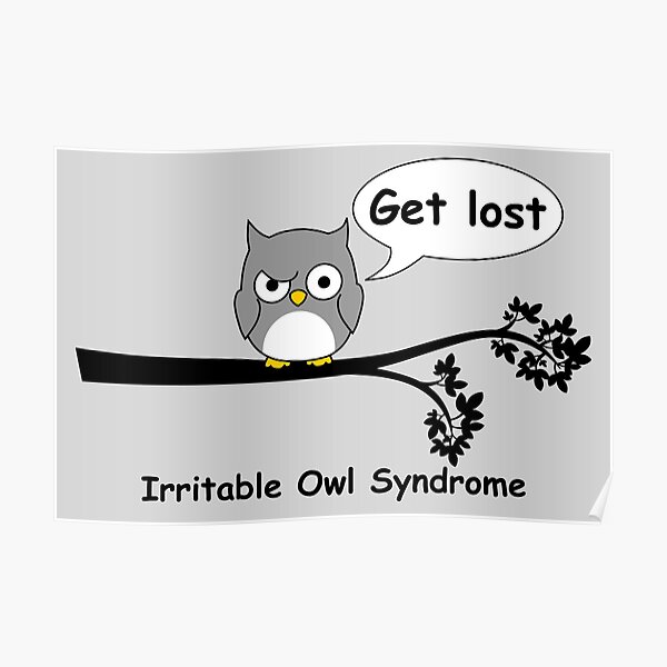 Irritable Owl Syndrome Poster