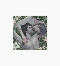 Where The Wild Lilies Grow Art Board
