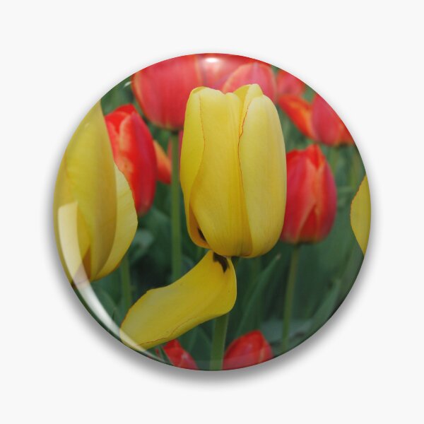 Item preview, Yellow and Red Tulips designed and sold by Kathleen Brant.