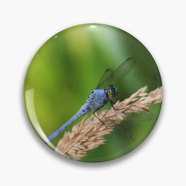 Artikelvorschau, Blaue Libelle | Natur entworfen und verkauft von RedHandedOD.