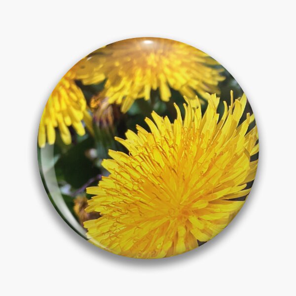 Item preview, Spring Dandelions - Variation in Lighting - Early Spring Blooms designed and sold by Ric1926.